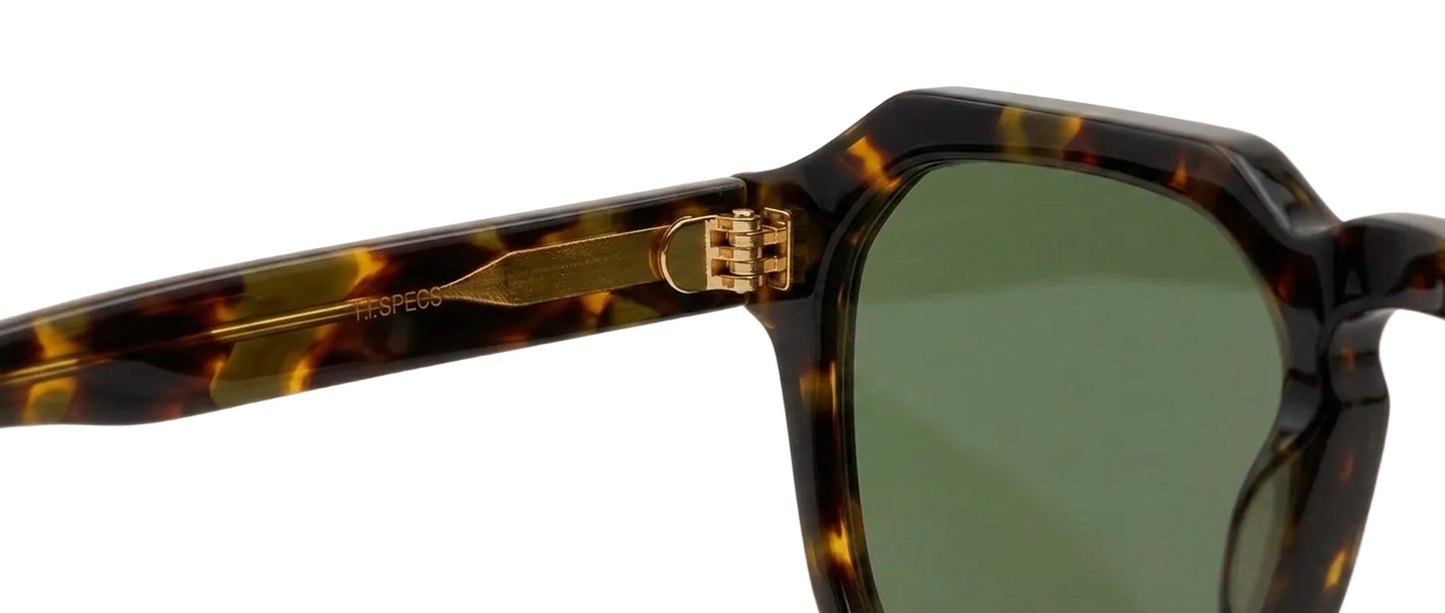 Il Lorenzo - Tortoise, hinge detail