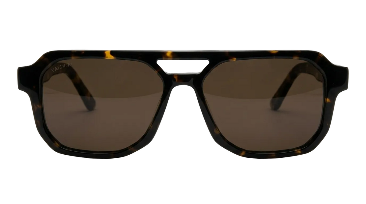 Il Lucio - Tortoise, front view