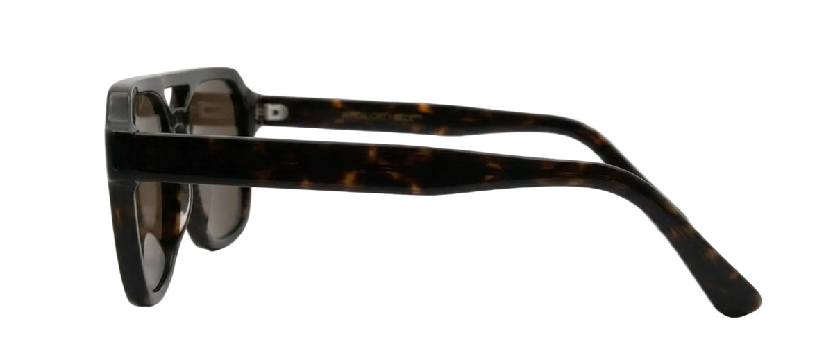 Il Lucio - Tortoise, side view