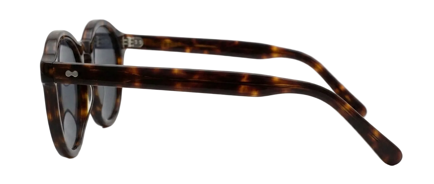 Il Paolo - Tortoise, side view